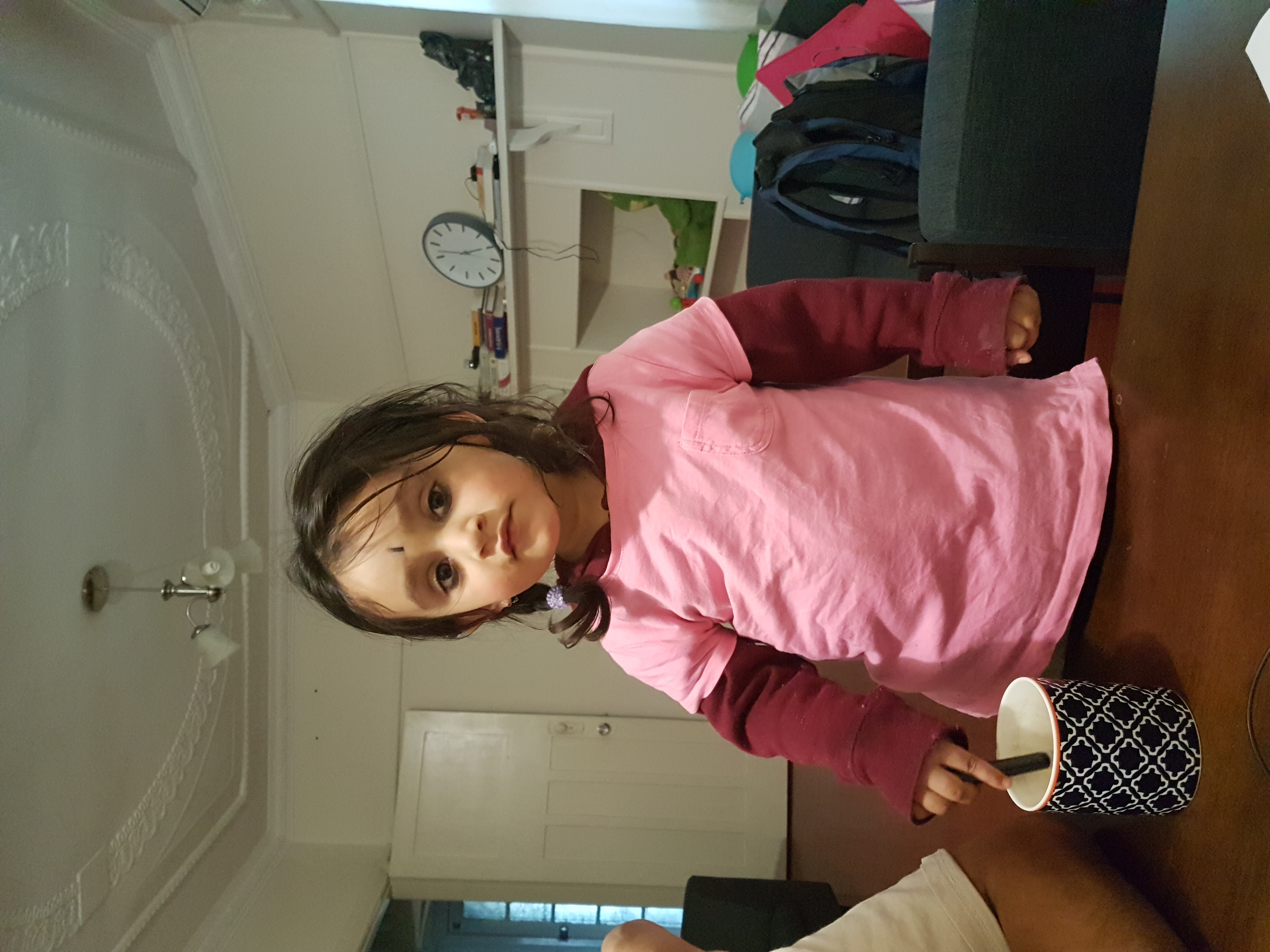 Medhaa Shastry, May 2016
